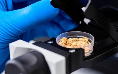 AQUALAB 3 Actividad de agua en 1 minuto